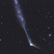 Comet Catalina (Gerald Rhemann)